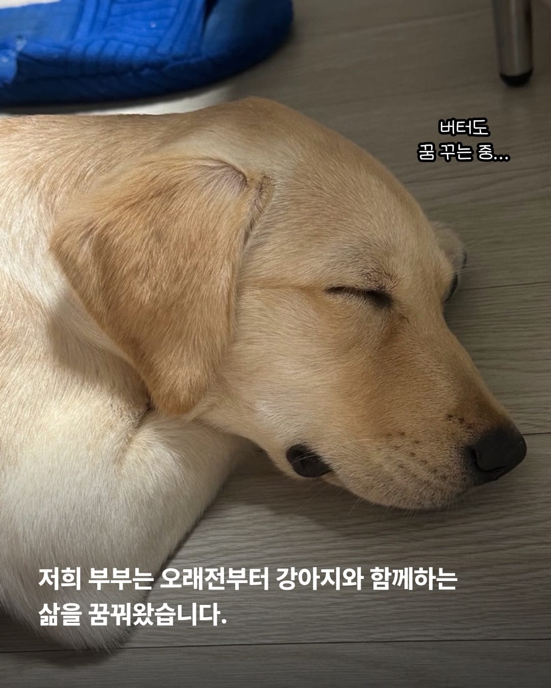 상세 사진 5