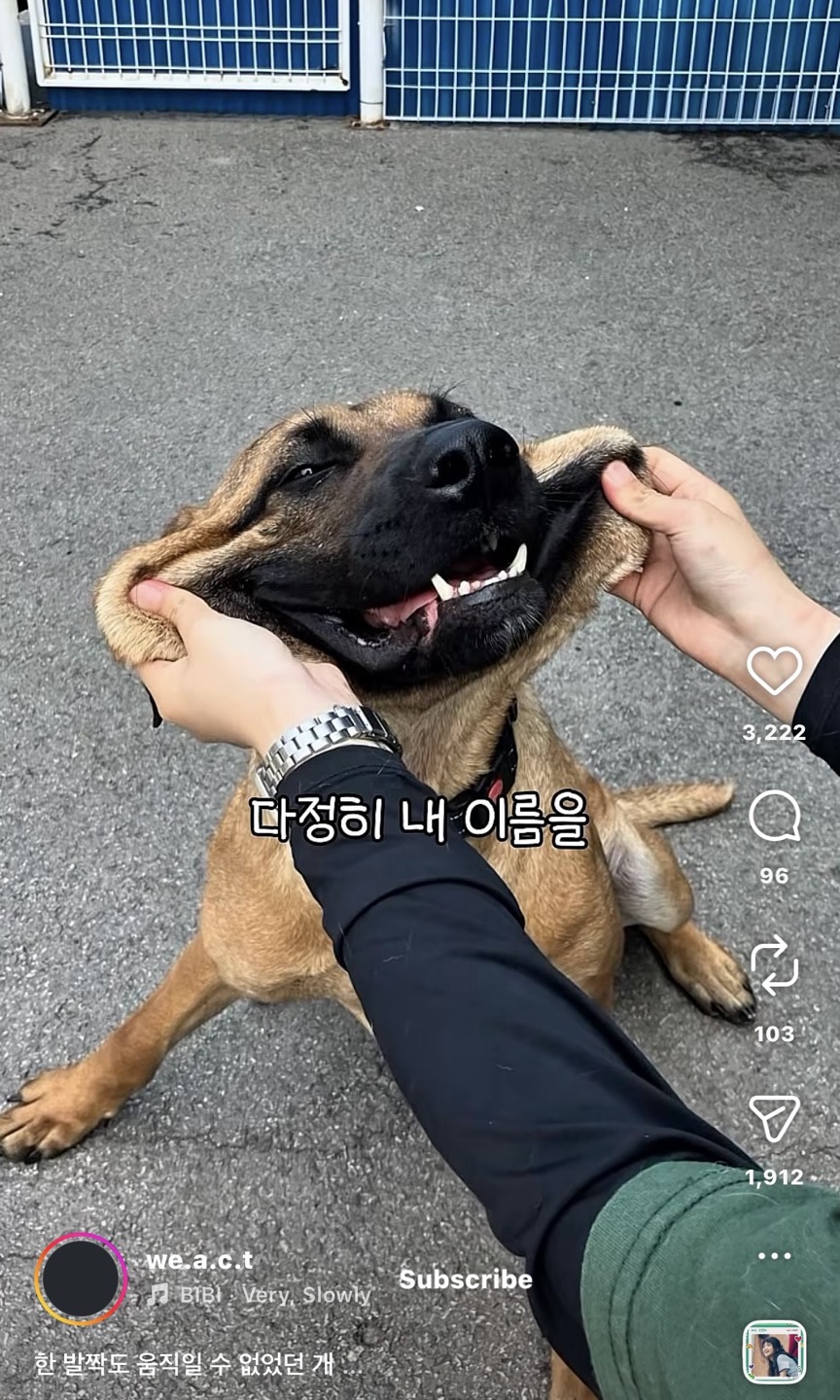 상세 사진 9