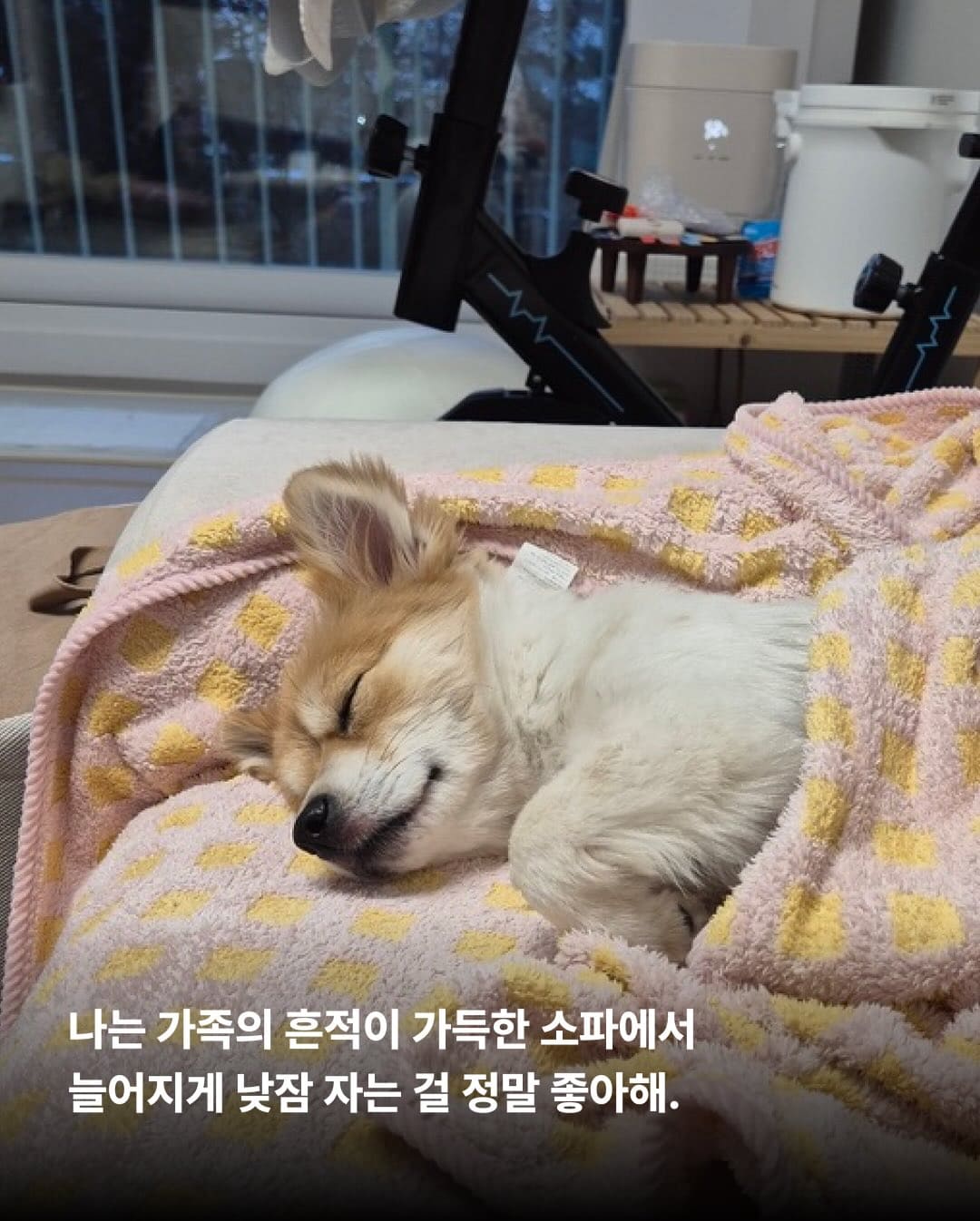 상세 사진 8