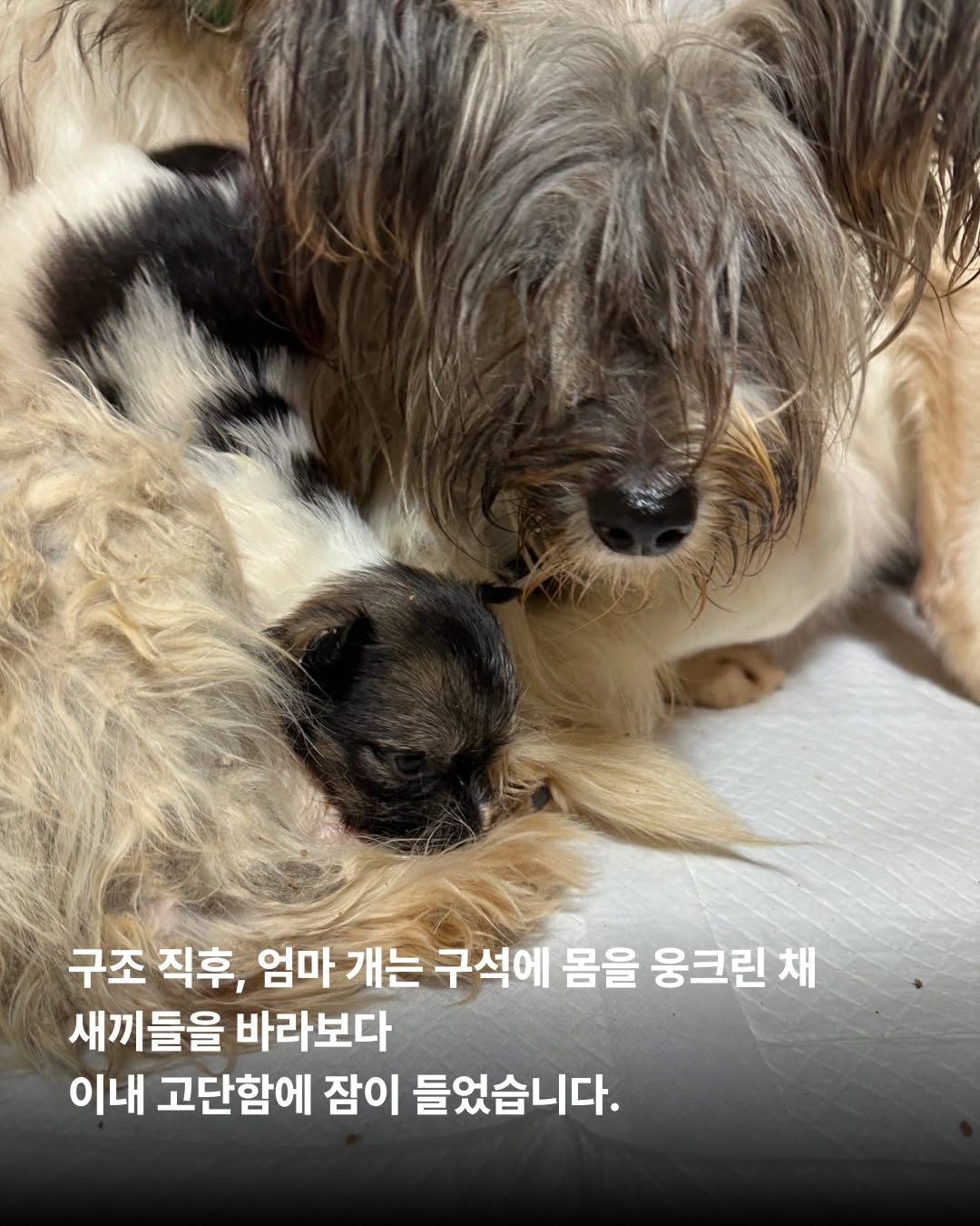 상세 사진 3