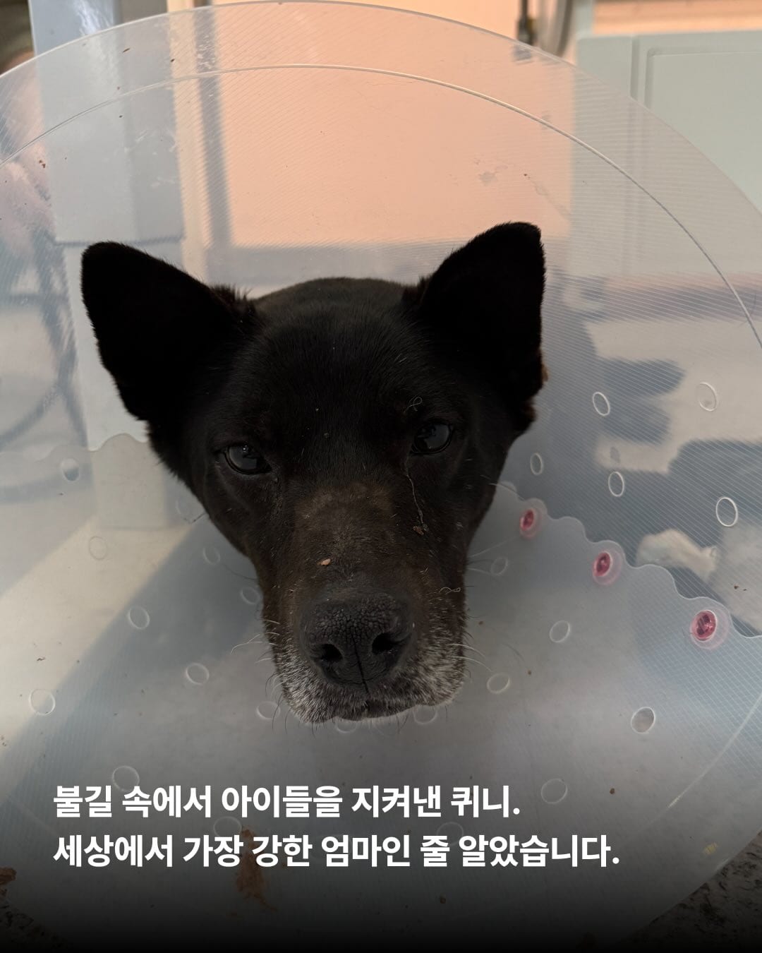 상세 사진 2