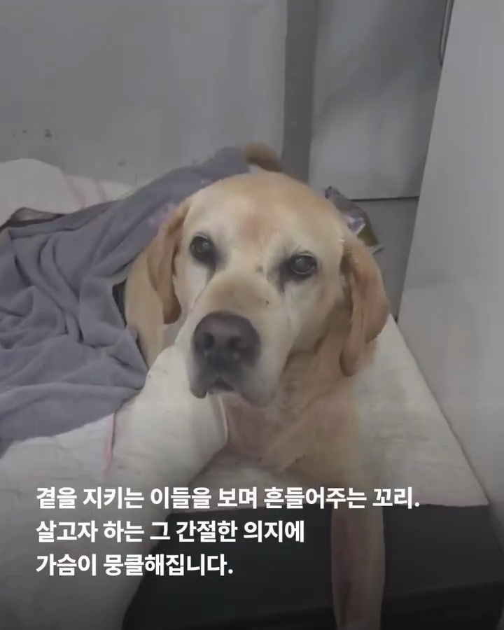 상세 사진 9