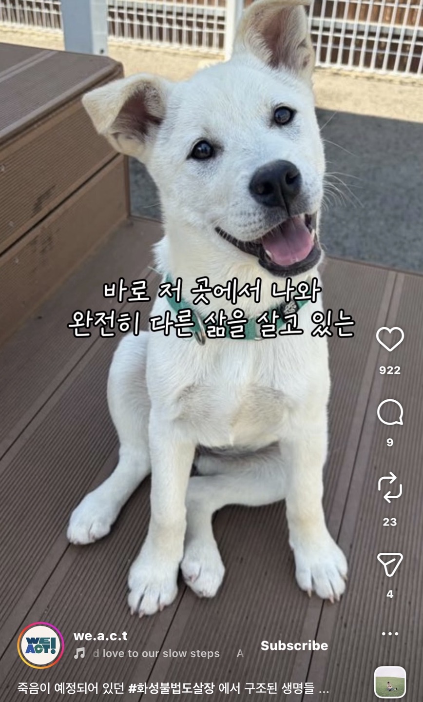 상세 사진 8