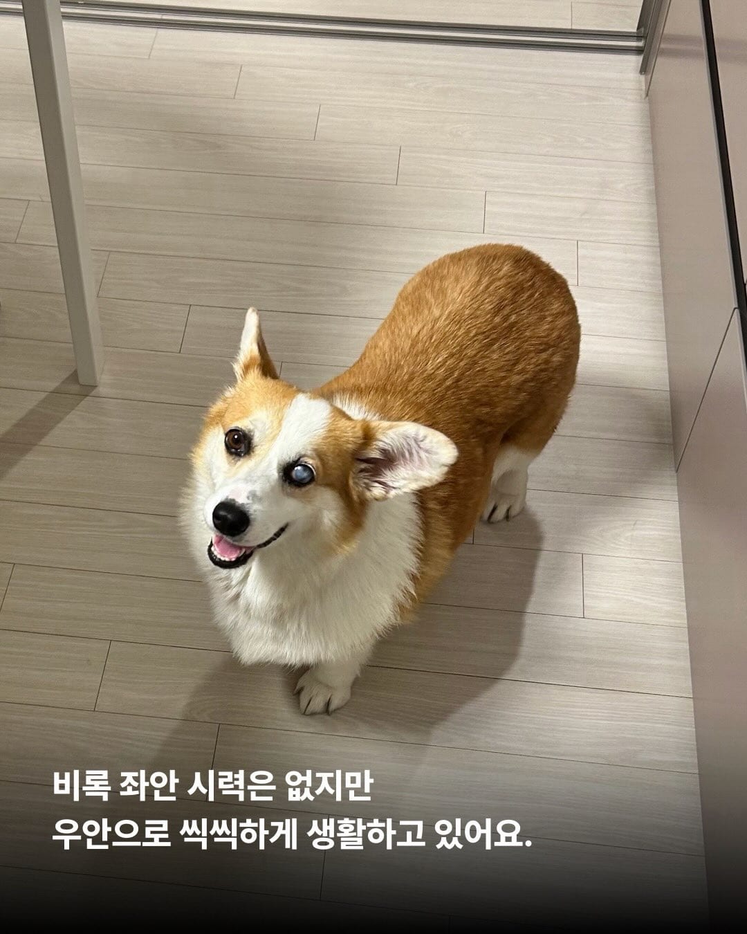 상세 사진 4