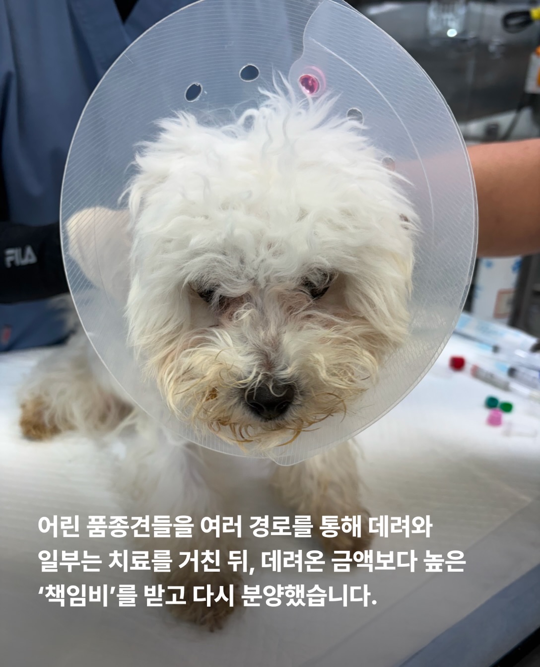 상세 사진 4