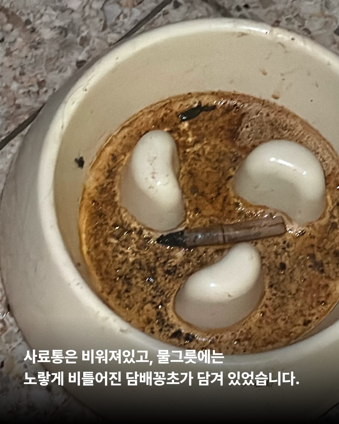 상세 사진 9