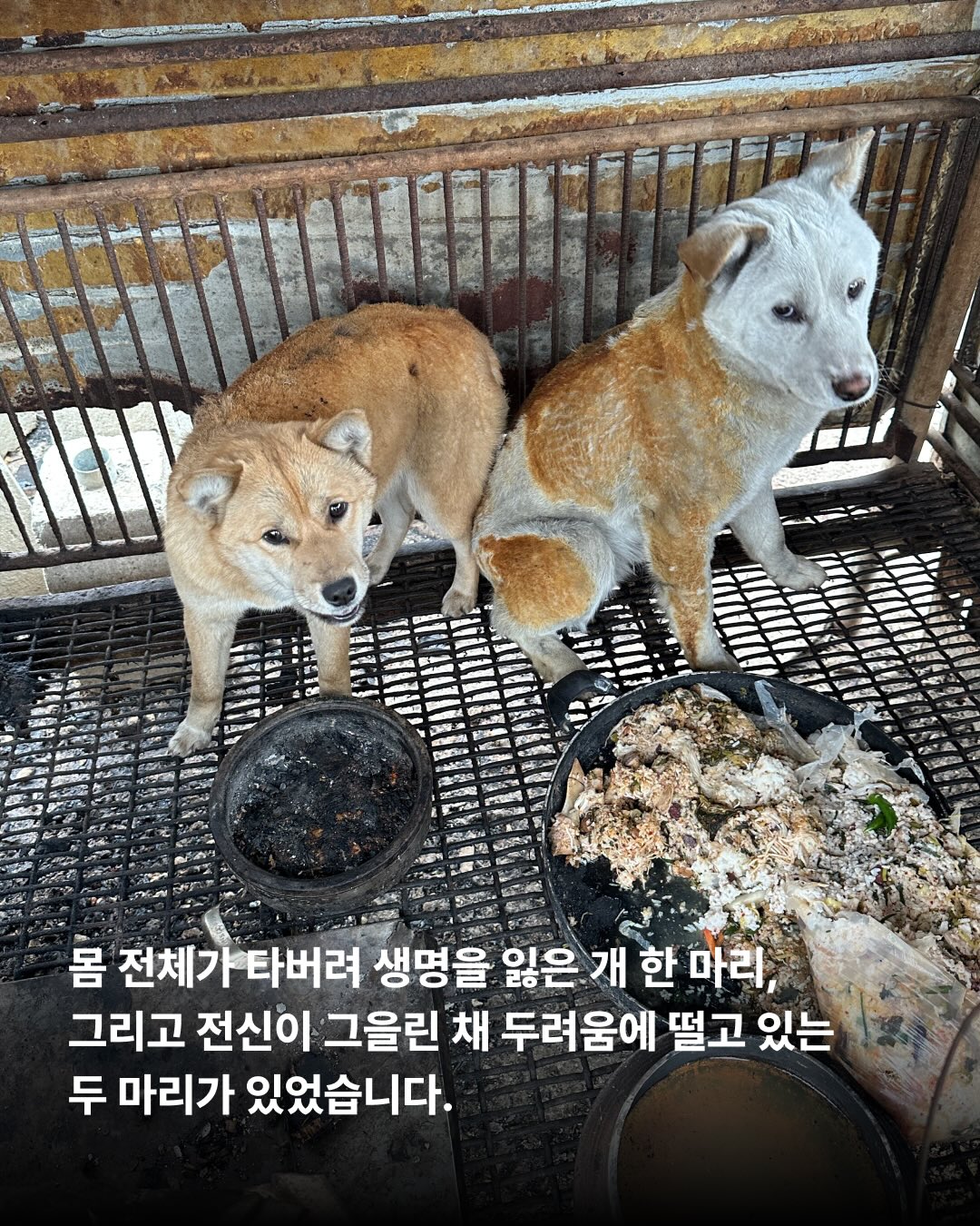 상세 사진 5