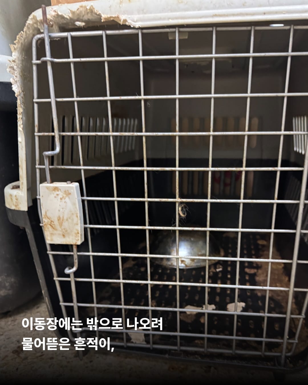 상세 사진 5