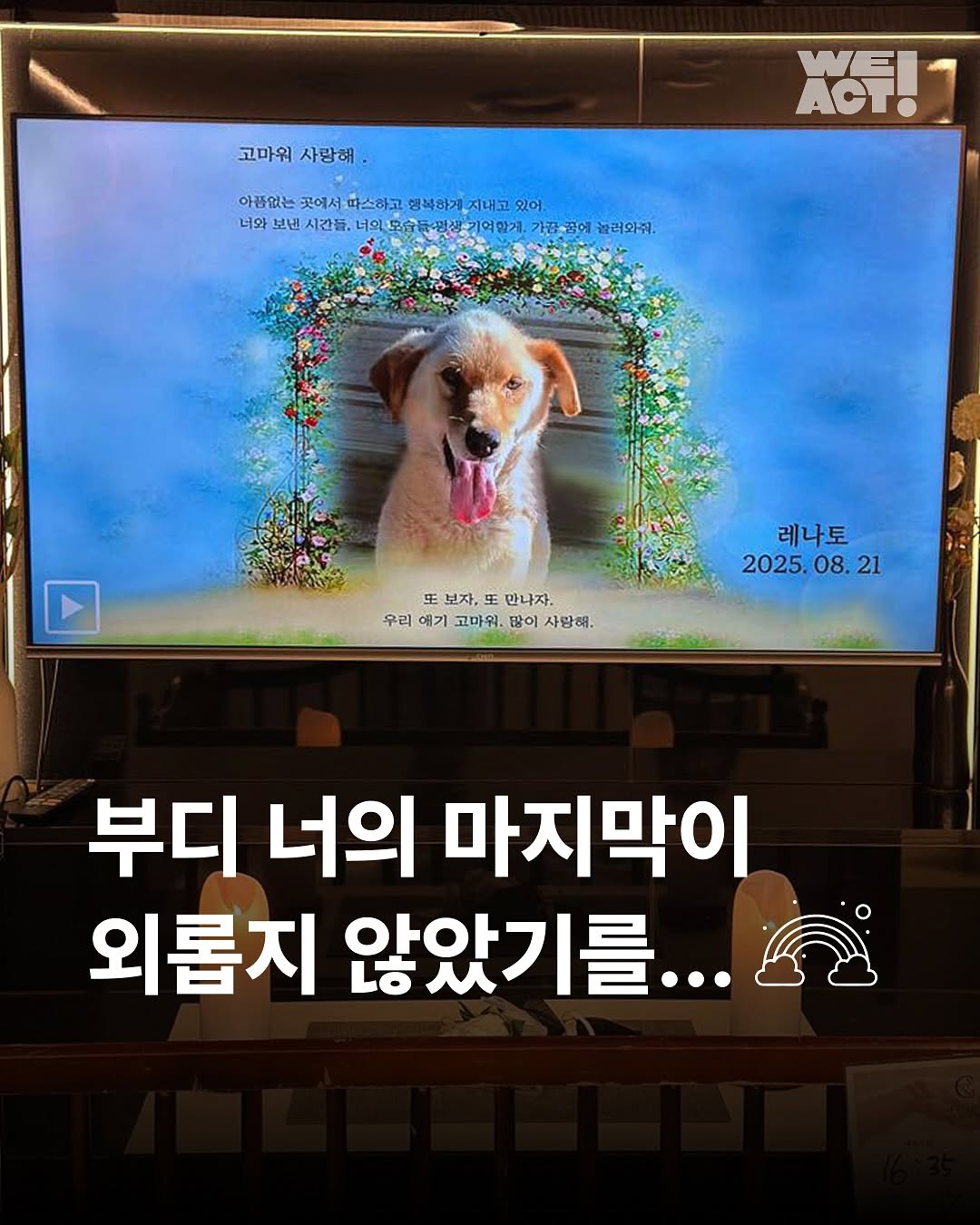 상세 사진 1