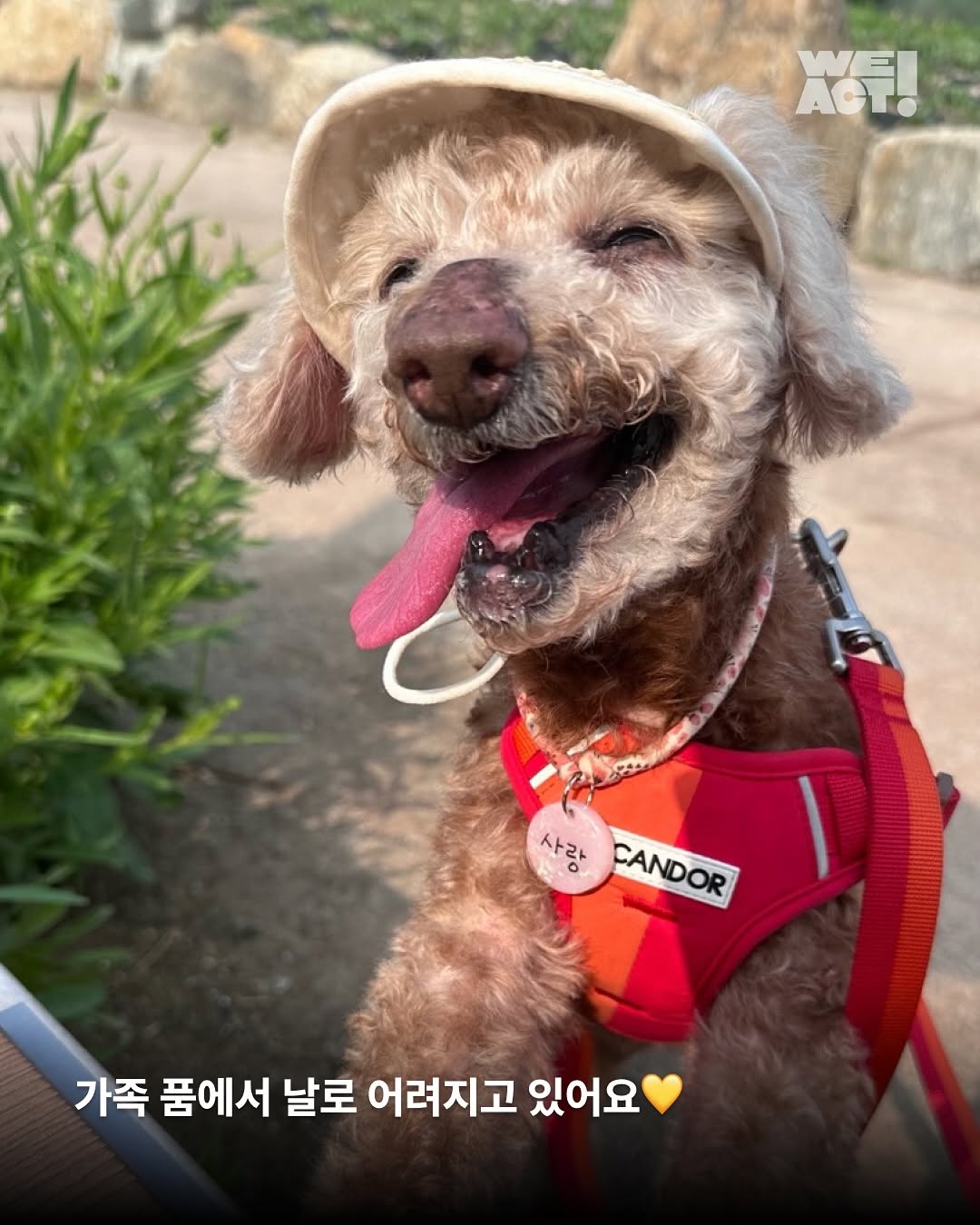 상세 사진 3