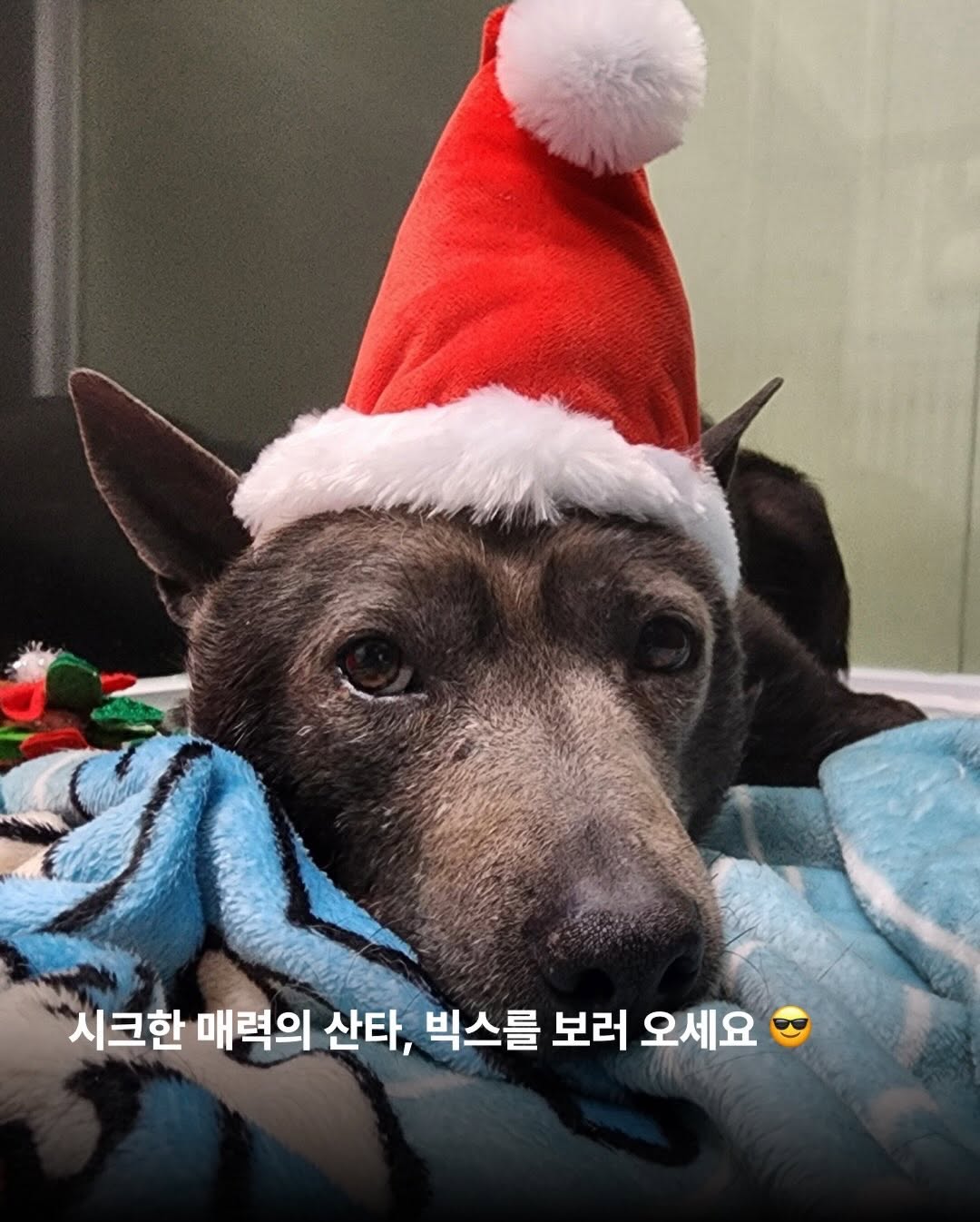 상세 사진 6