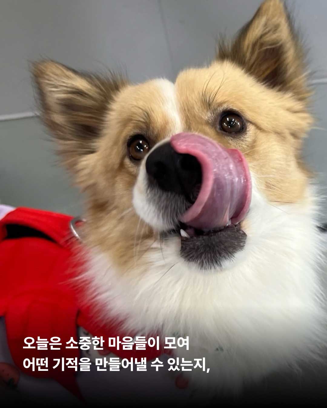상세 사진 3