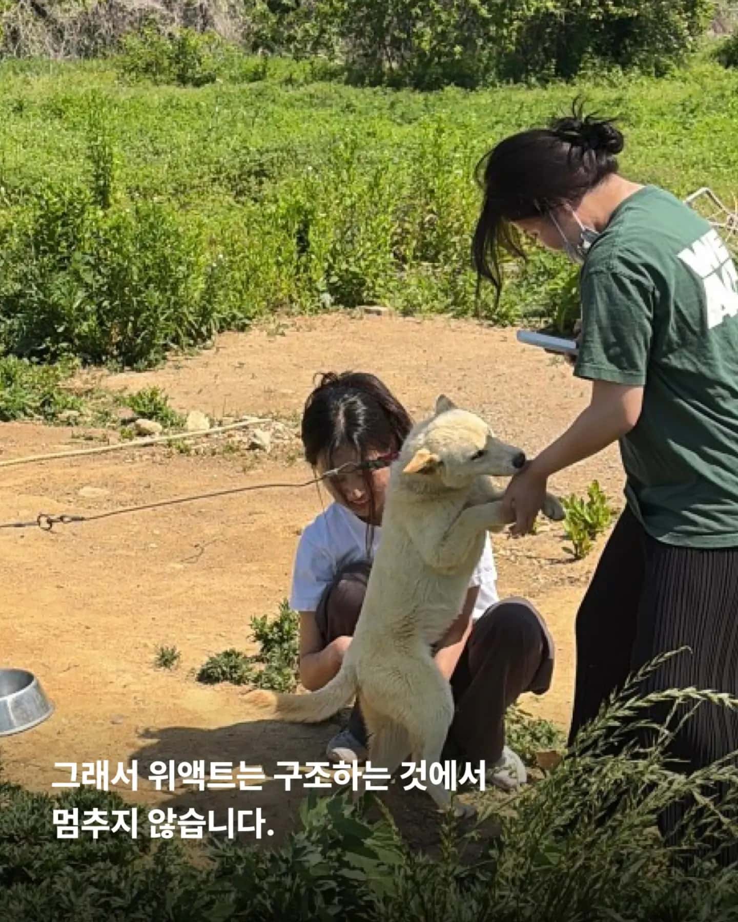 상세 사진 14