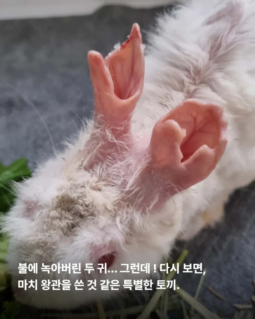 상세 사진 4