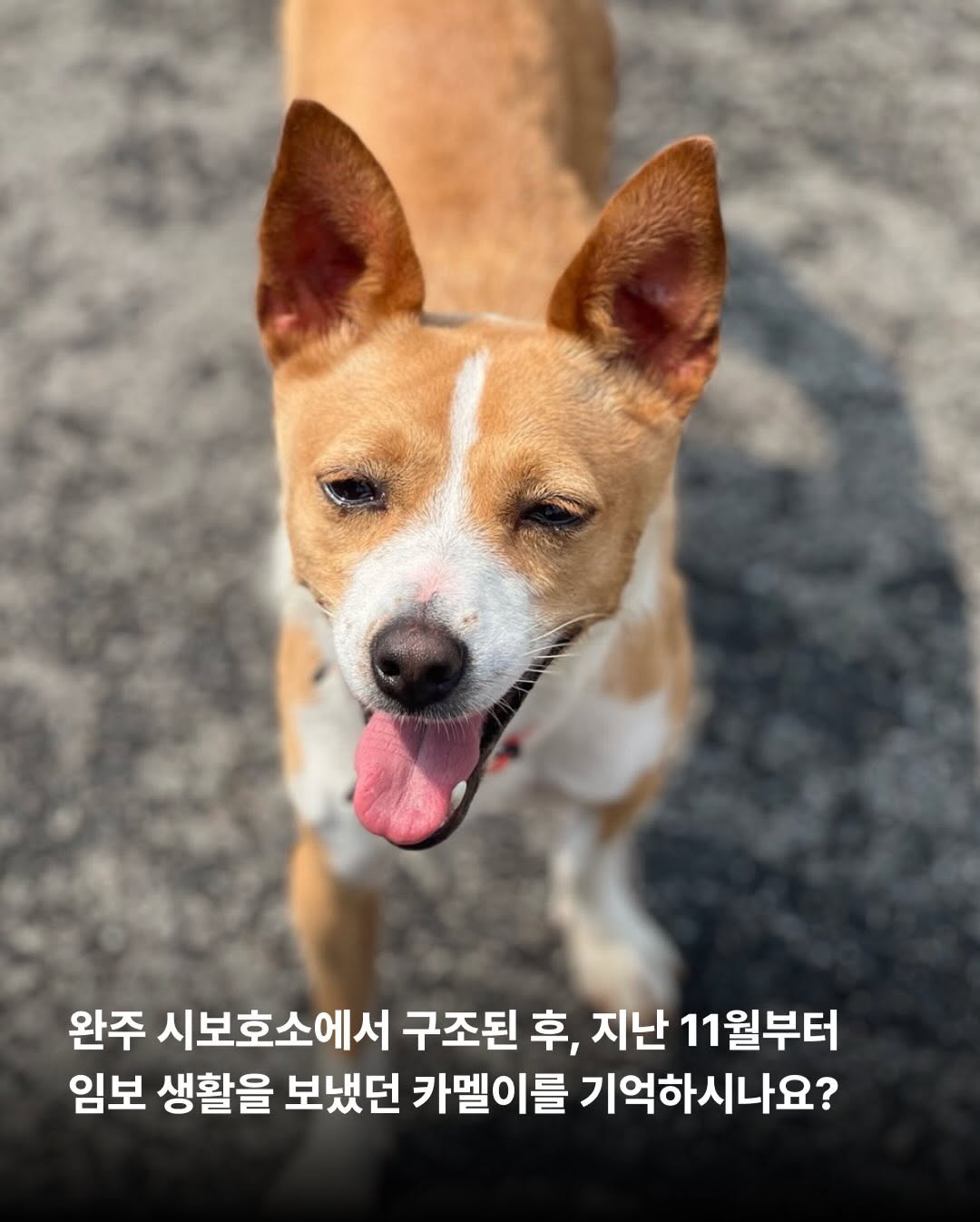 상세 사진 2