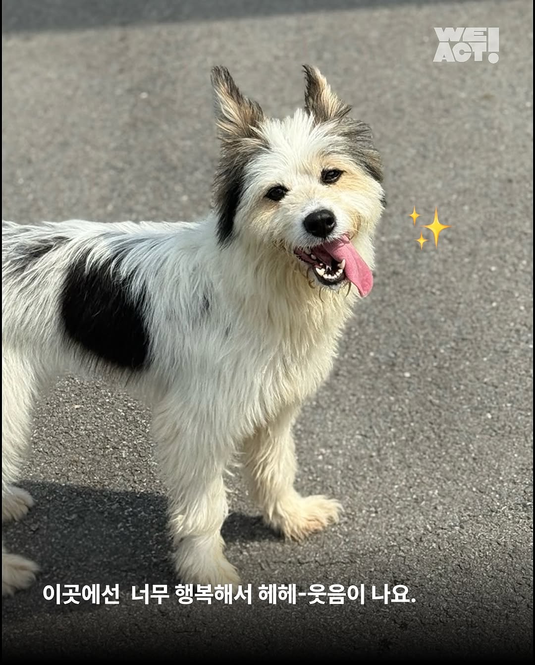 상세 사진 10