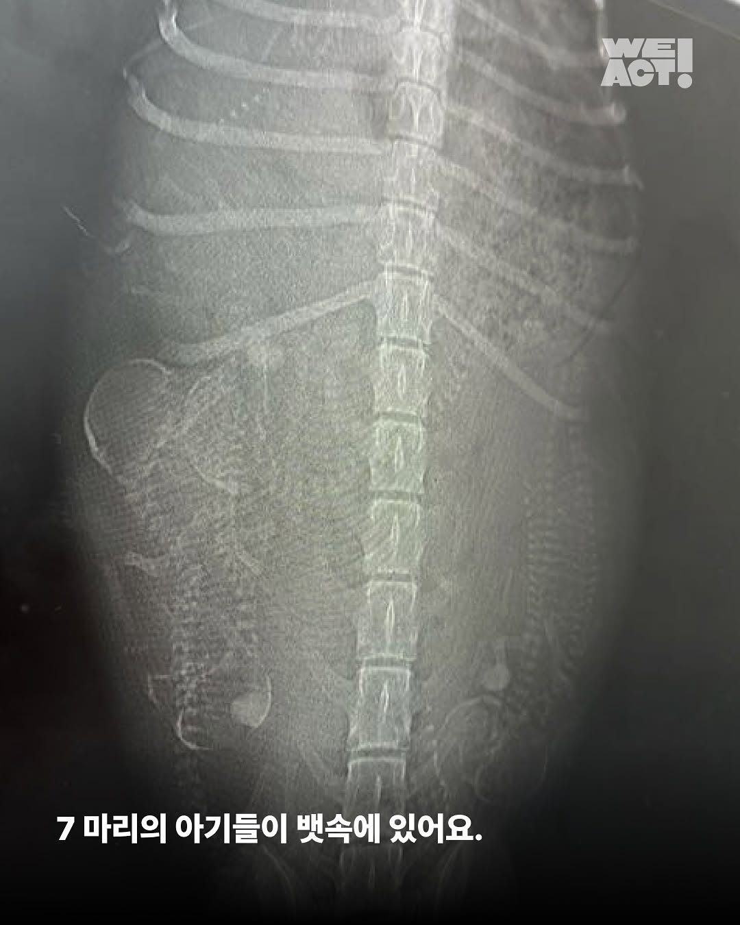 상세 사진 7