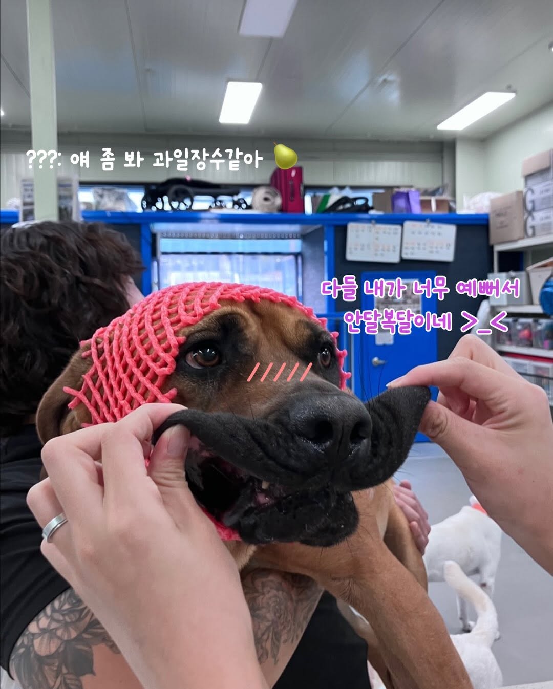 상세 사진 8