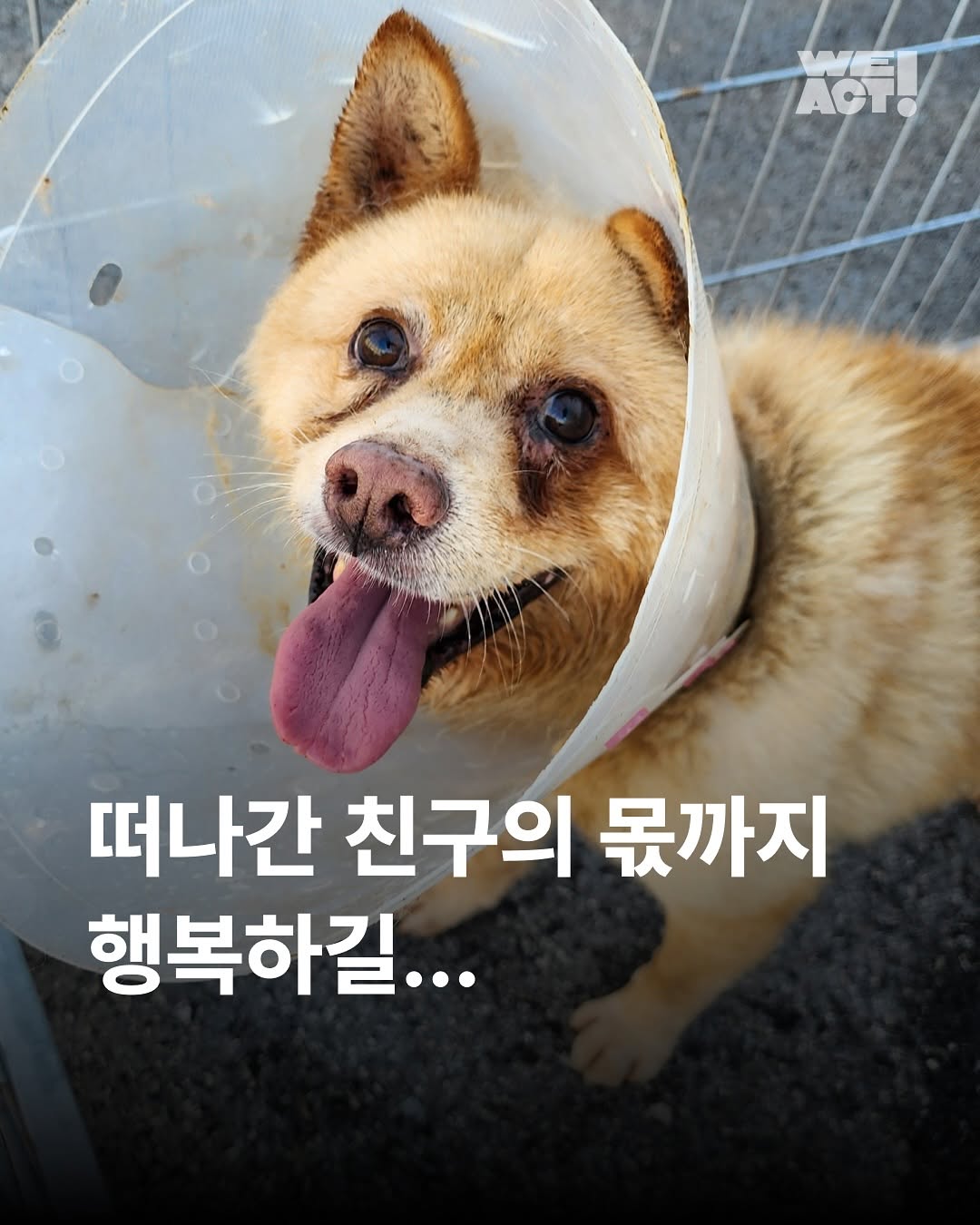 상세 사진 1