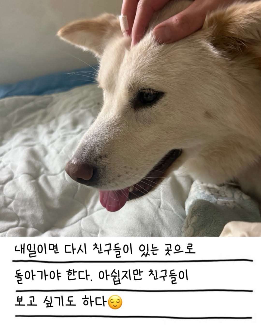 상세 사진 18