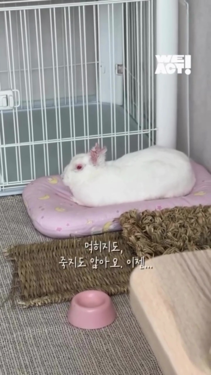 상세 사진 3