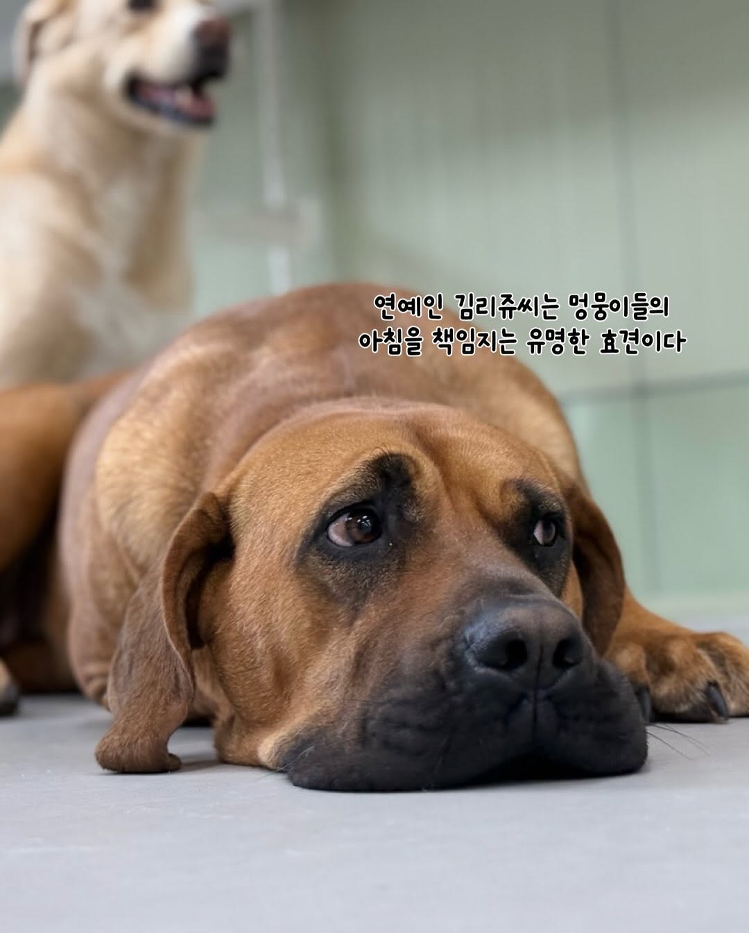 상세 사진 3