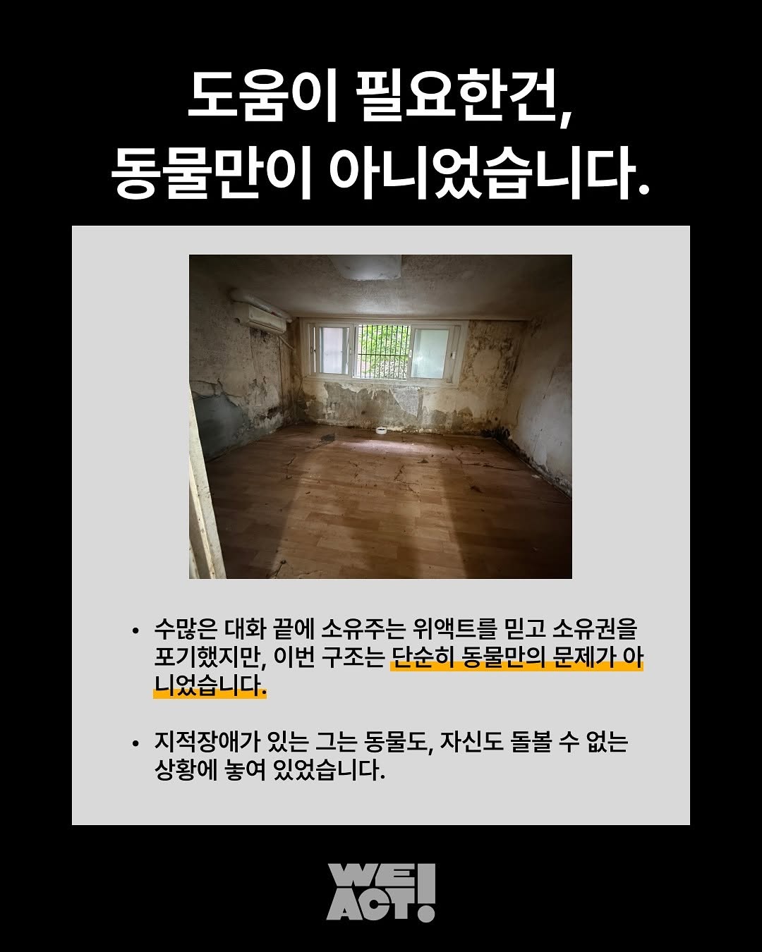 상세 사진 3