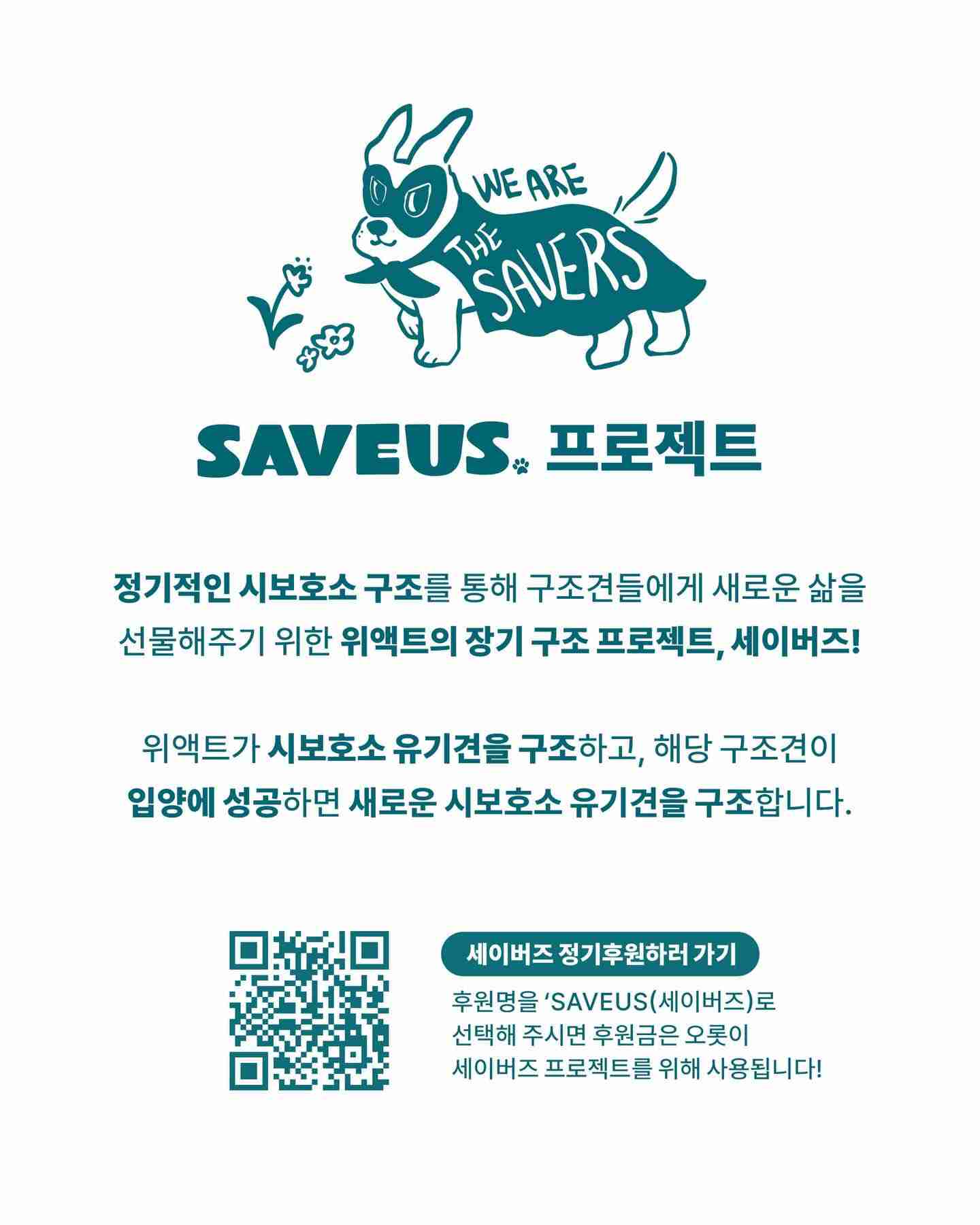 상세 사진 10