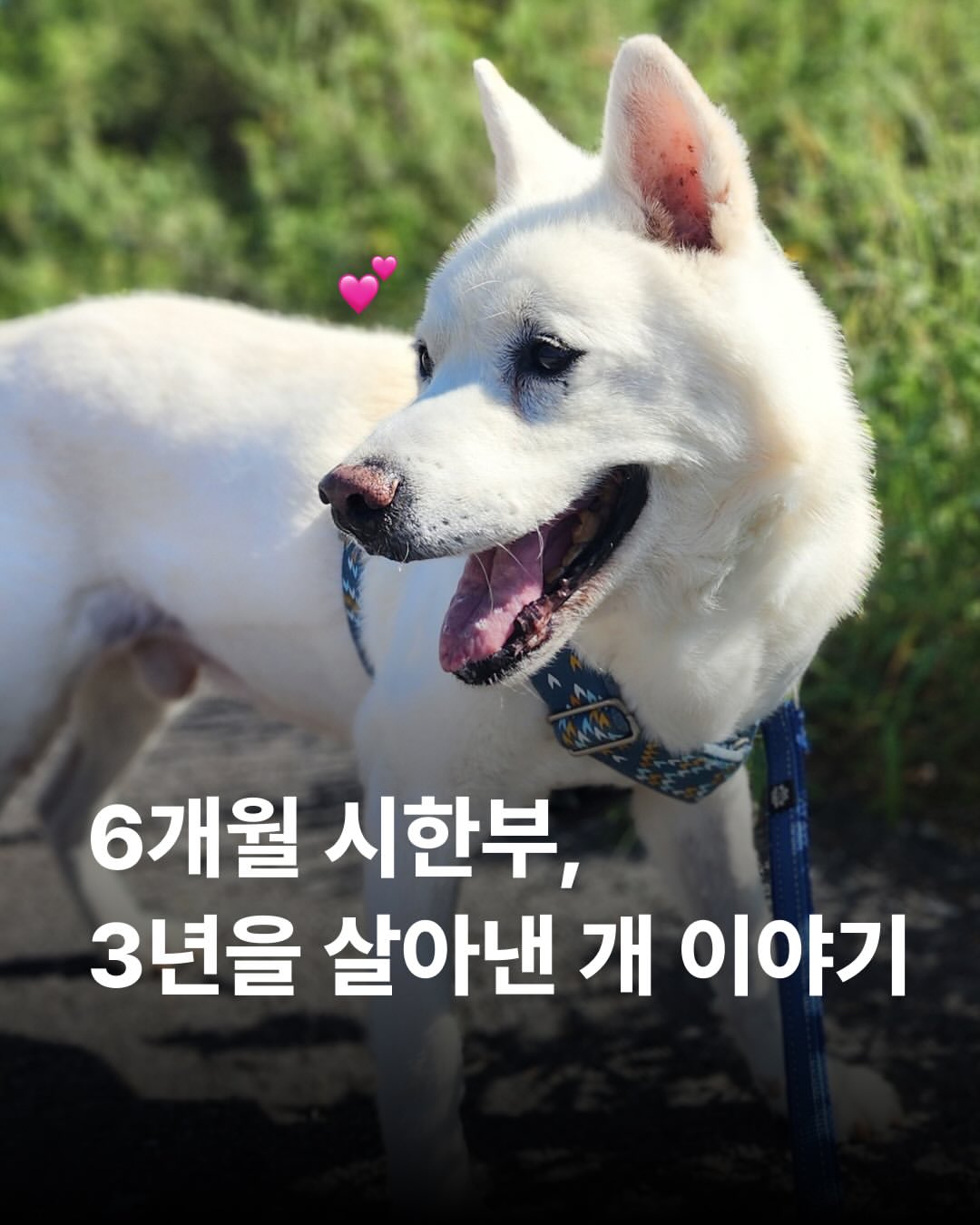 상세 사진 1