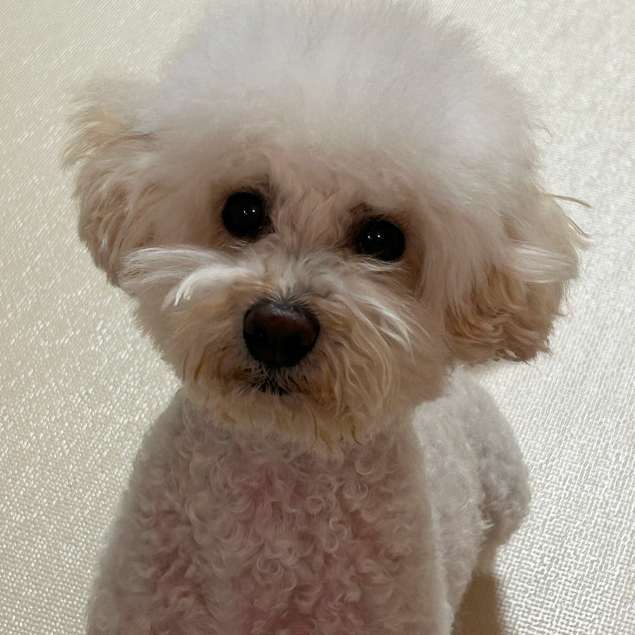 상세 사진 3