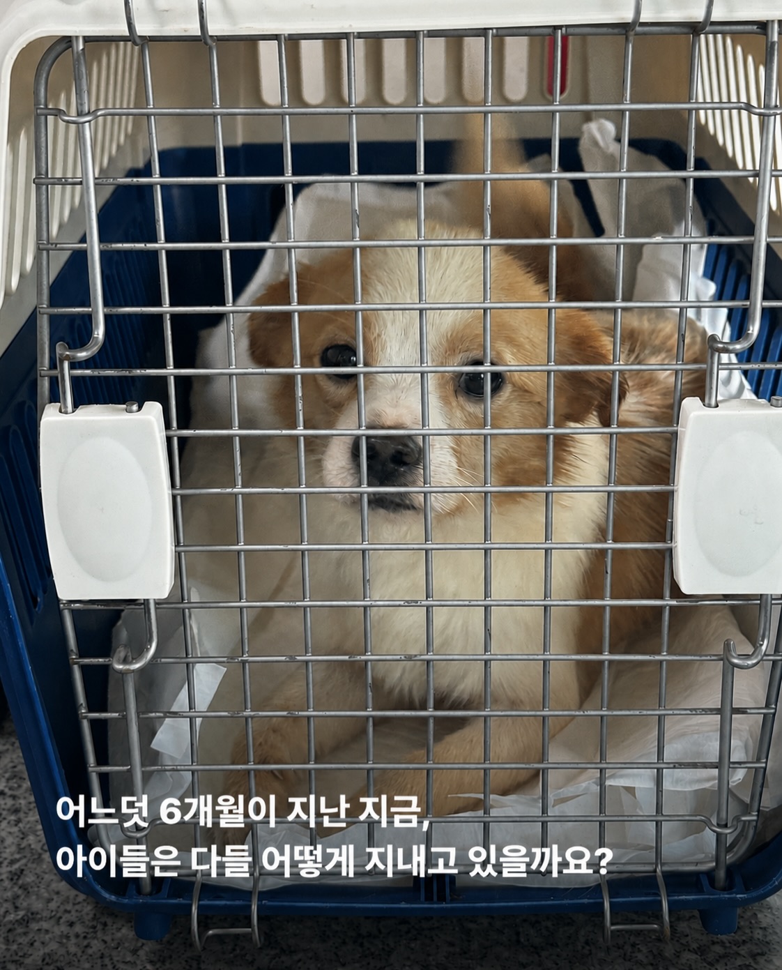 상세 사진 4