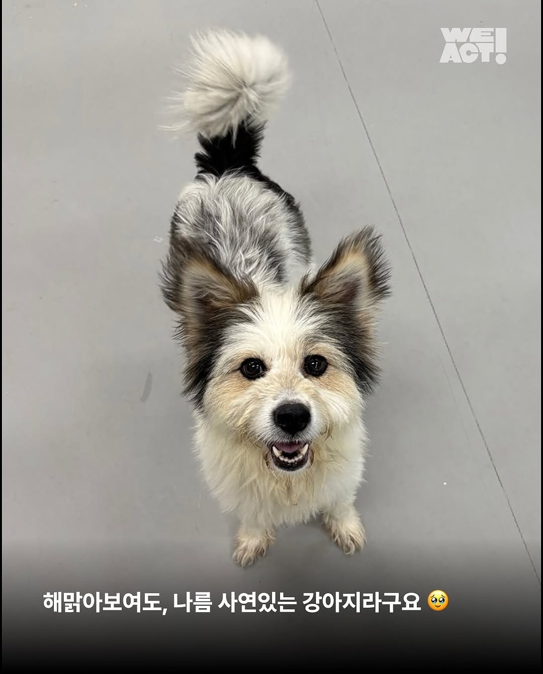 상세 사진 3
