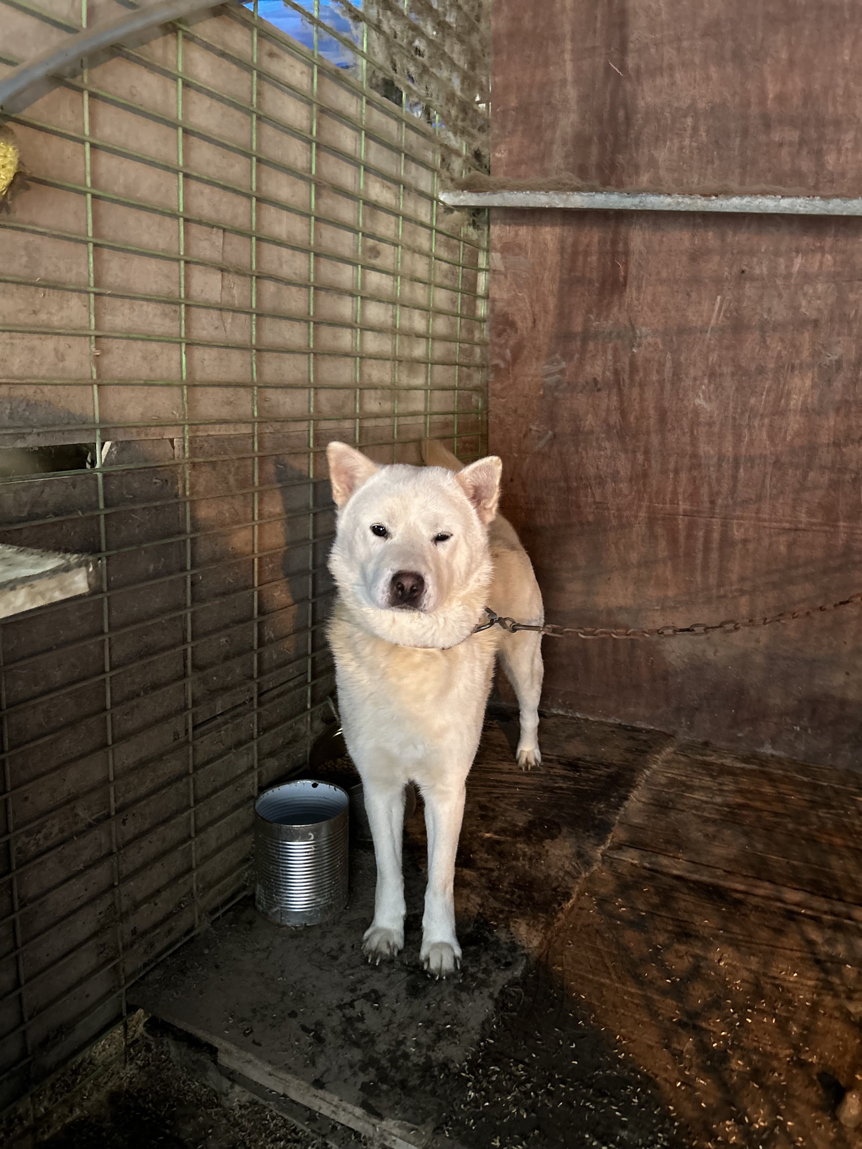 상세 사진 7