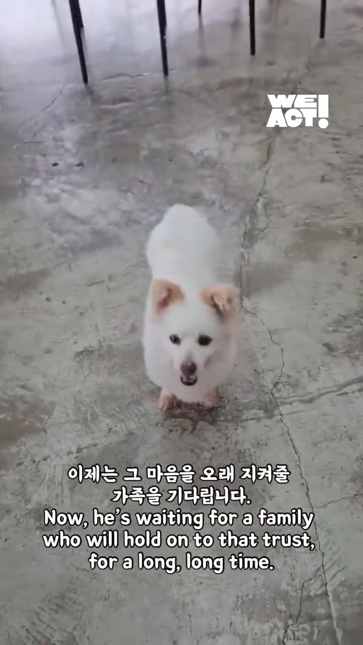 상세 사진 8