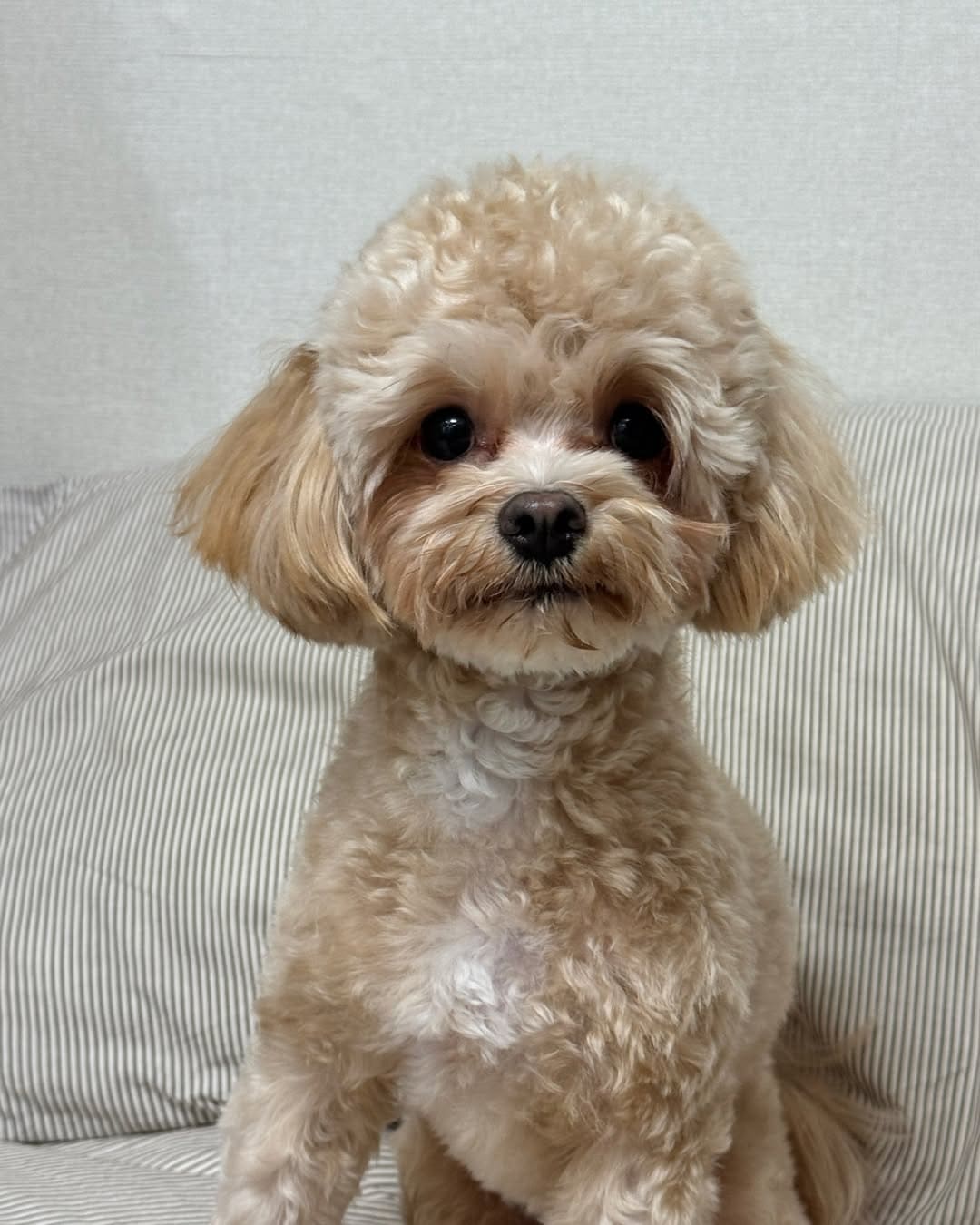 상세 사진 5