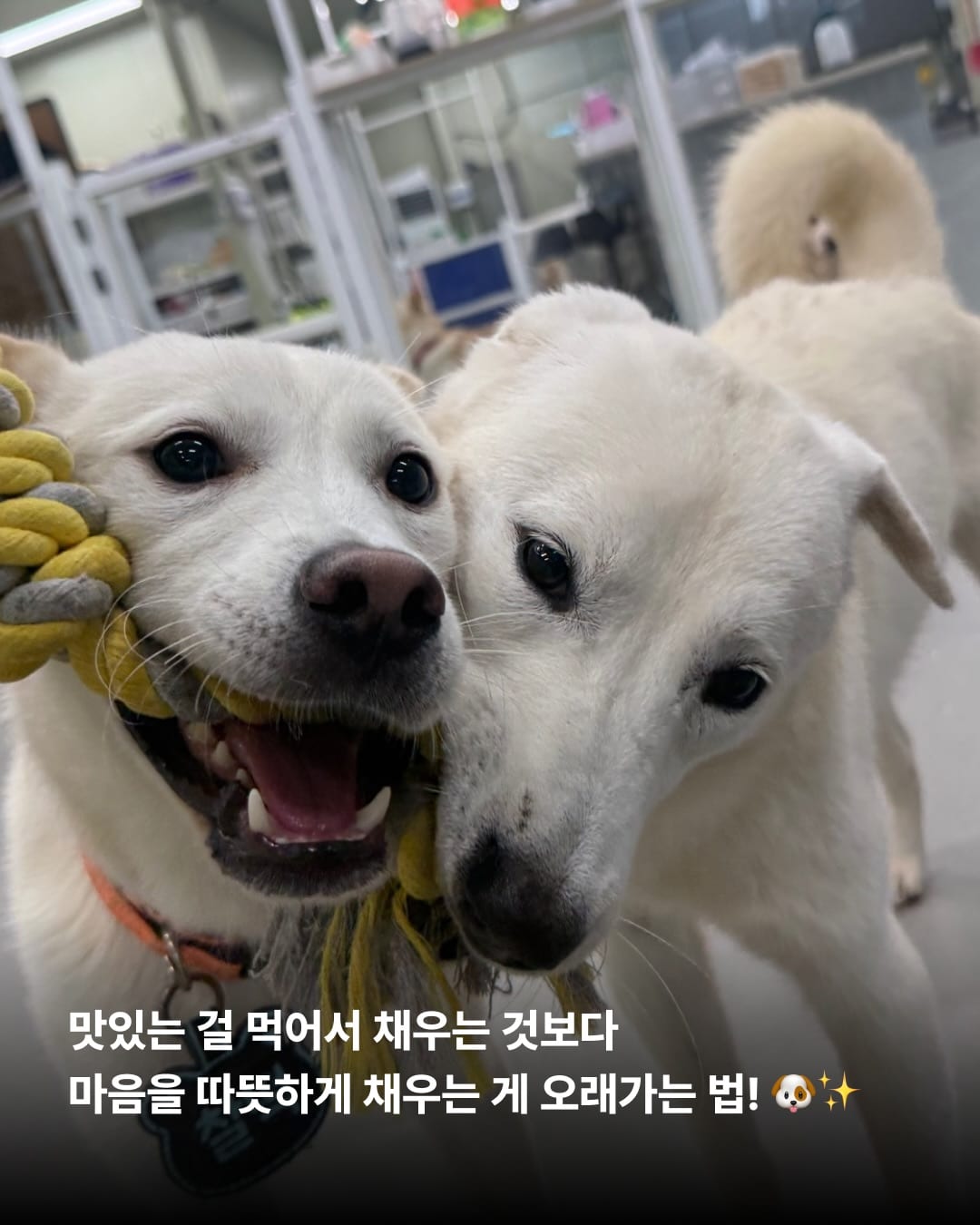 상세 사진 4