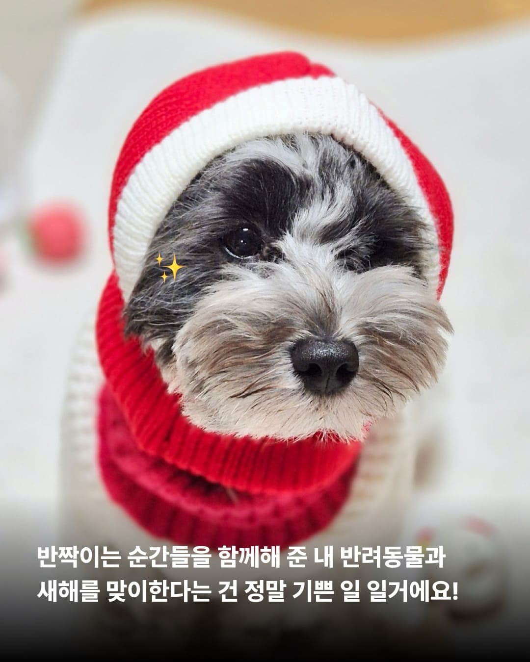 상세 사진 8