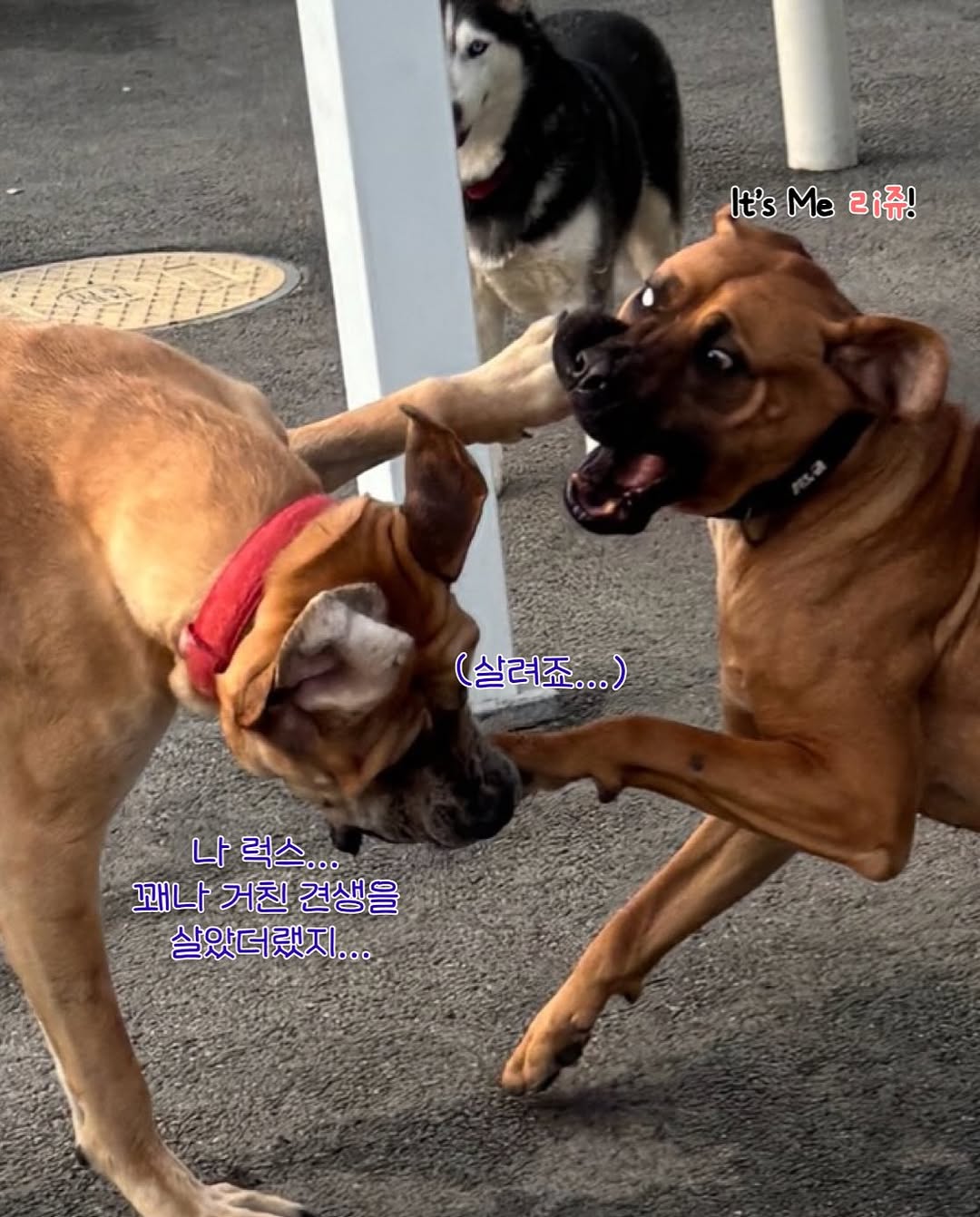 상세 사진 13