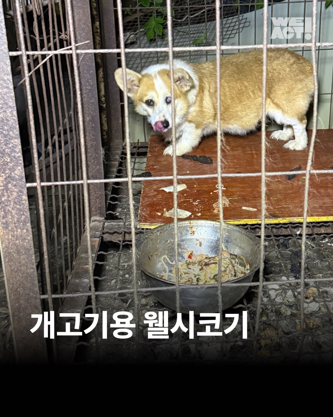 상세 사진 1