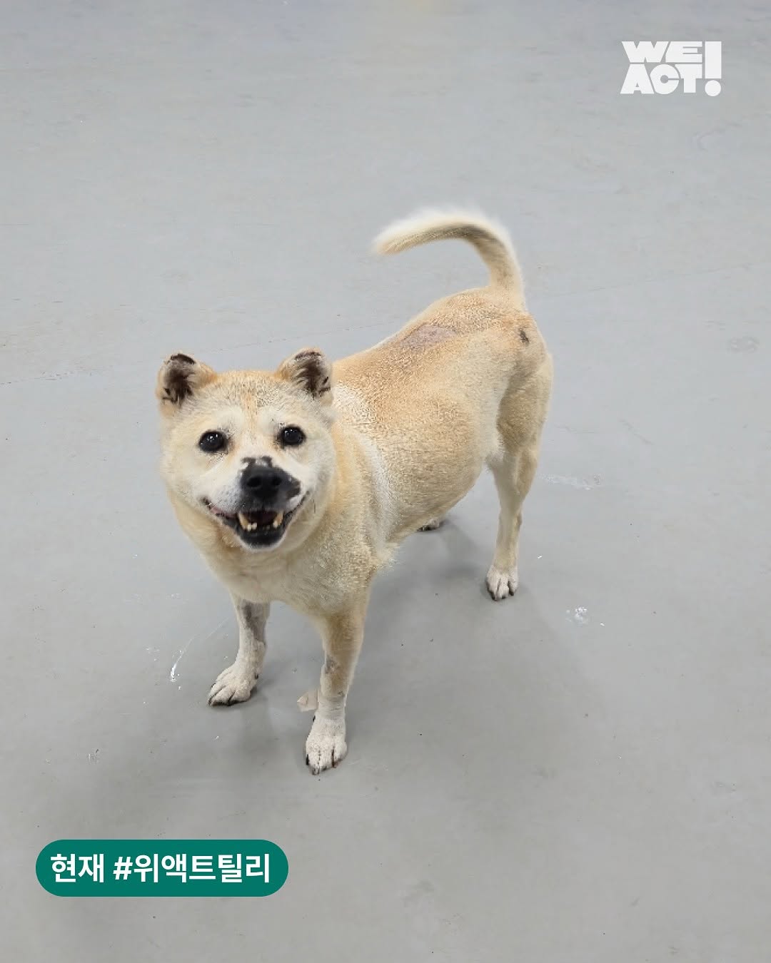 상세 사진 5