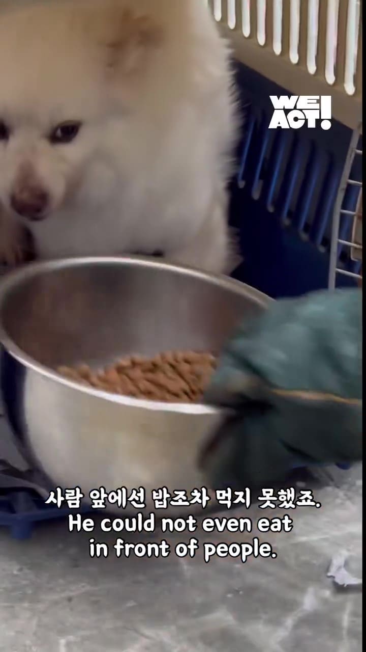 상세 사진 3