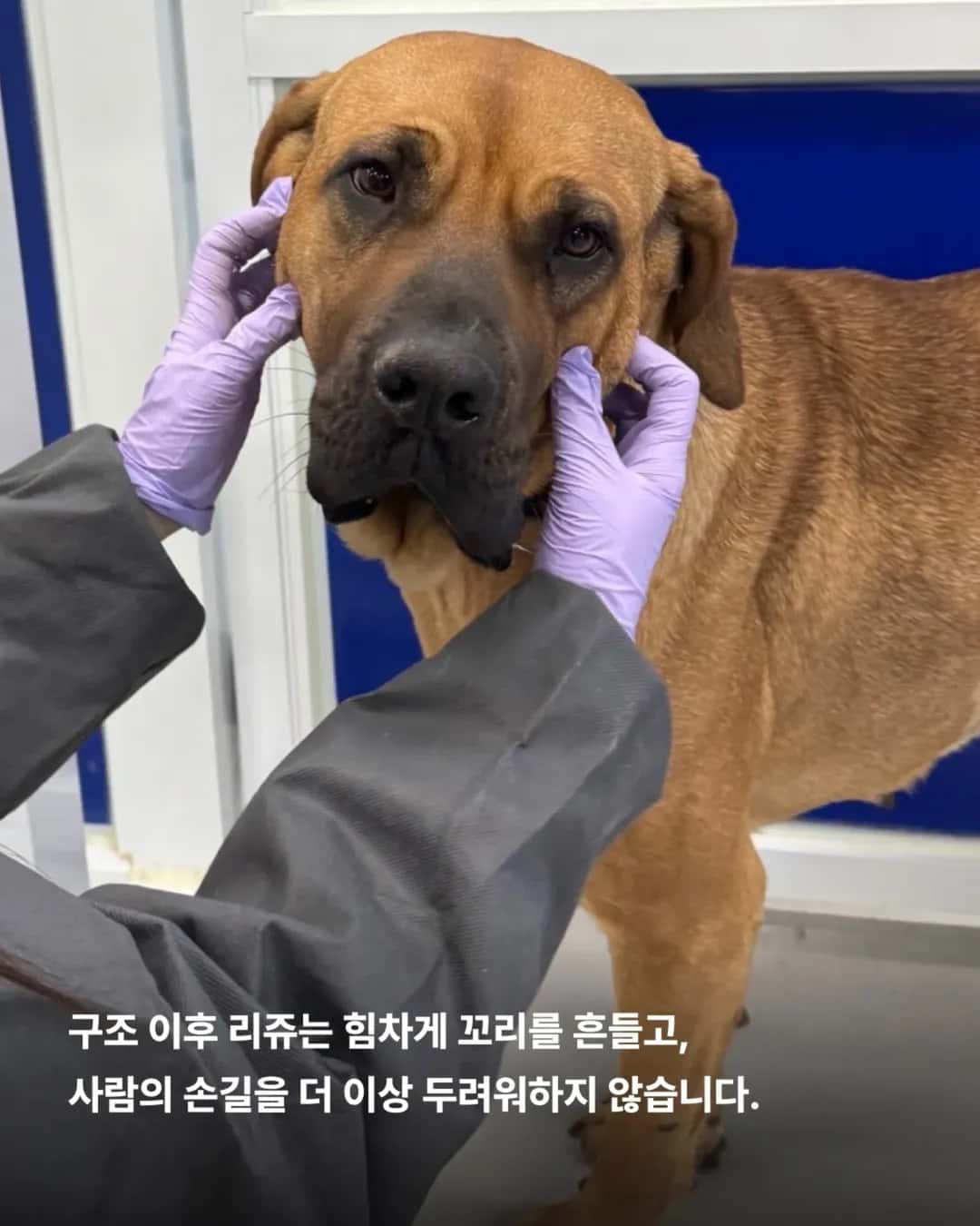 상세 사진 4