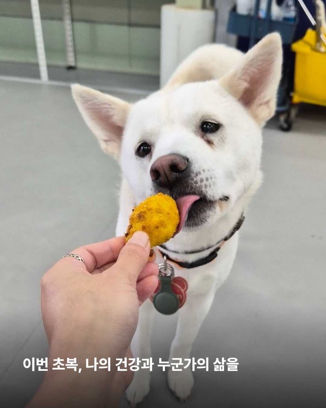 상세 사진 9