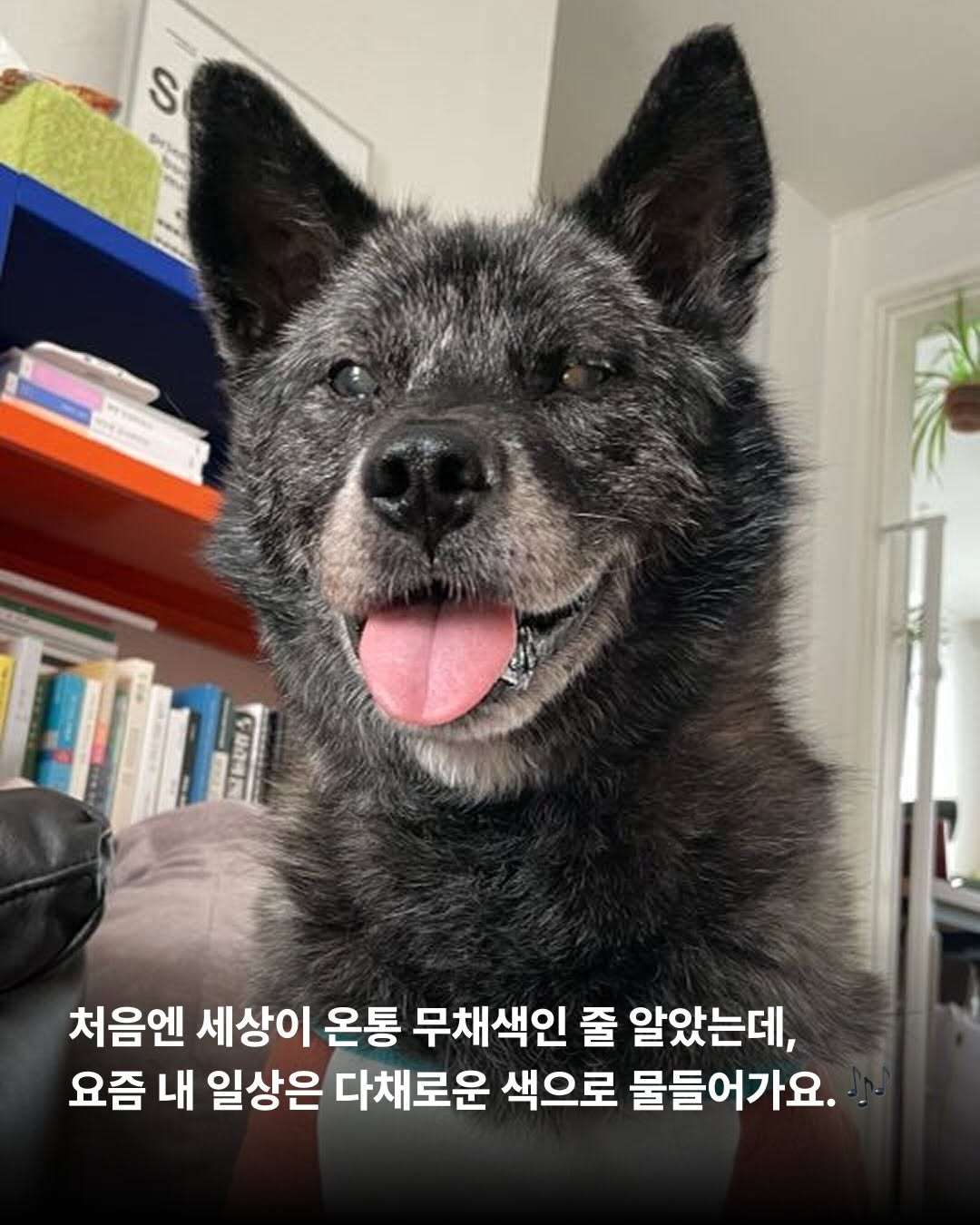 상세 사진 2