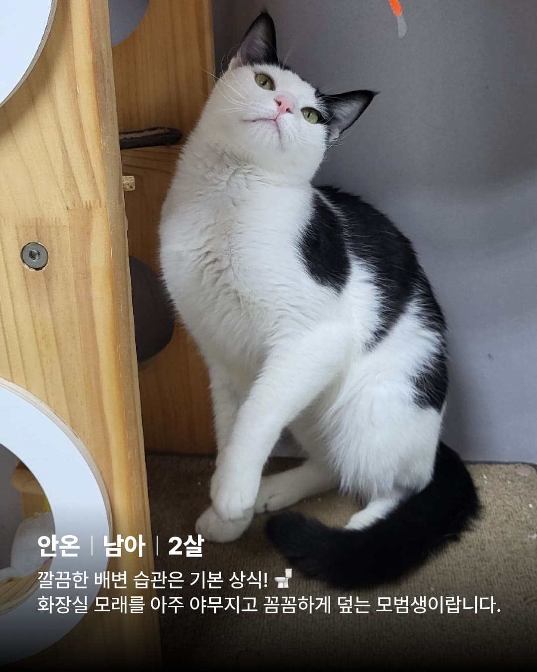 상세 사진 7