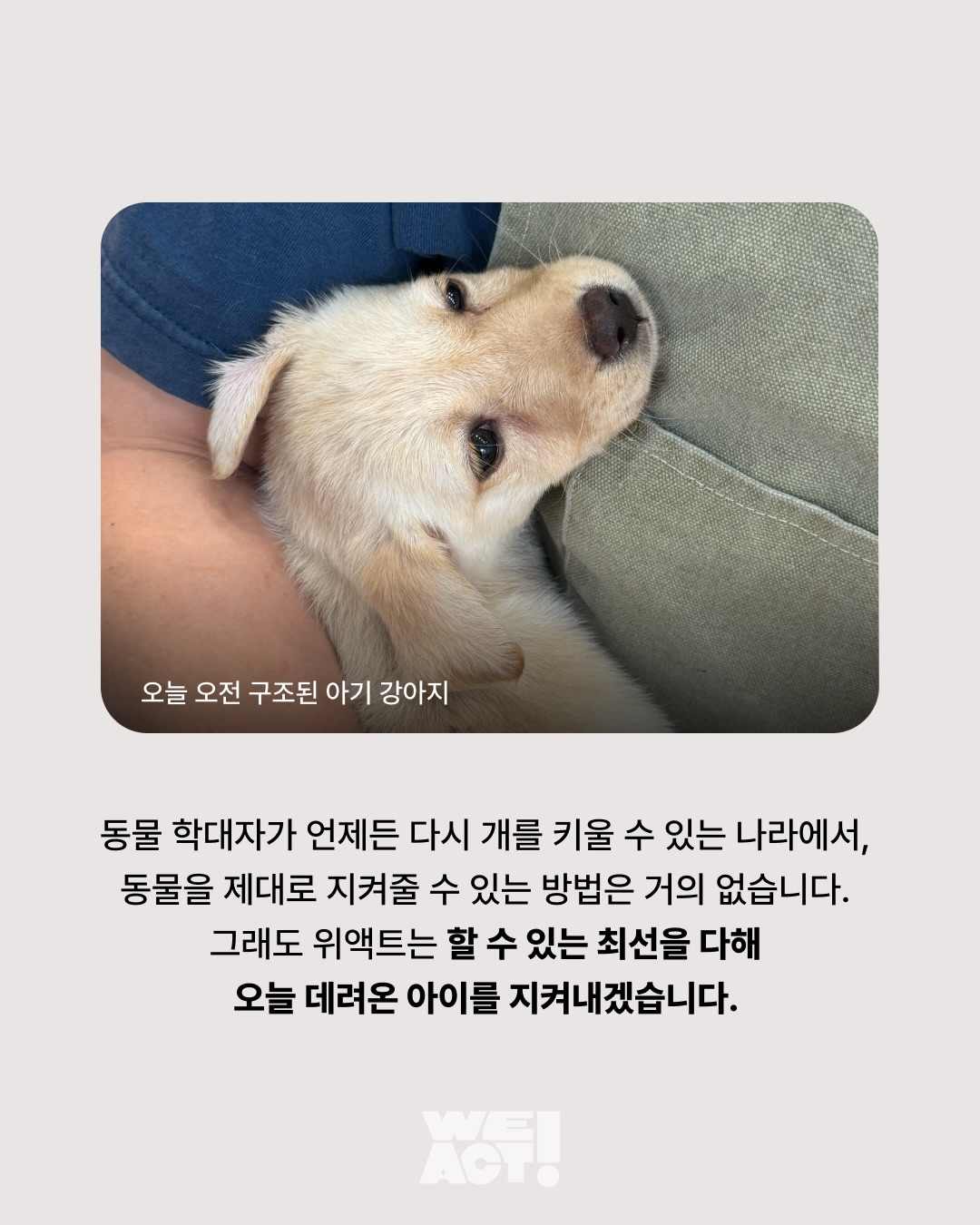 상세 사진 5