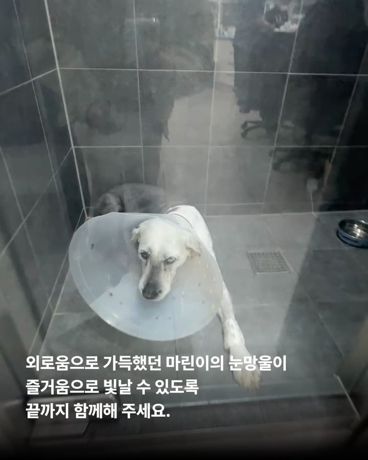 상세 사진 4