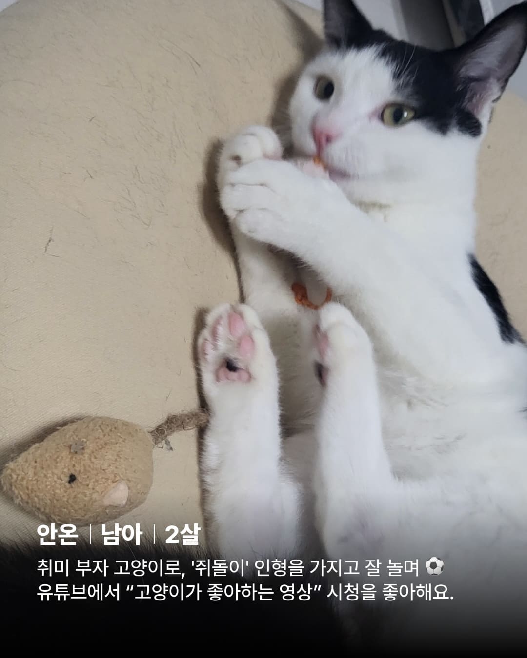 상세 사진 5