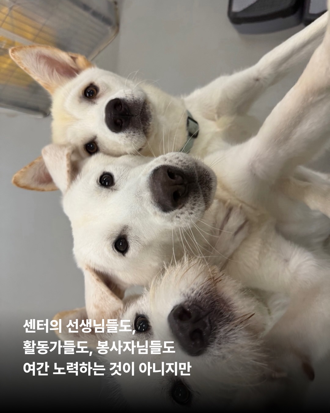 상세 사진 8