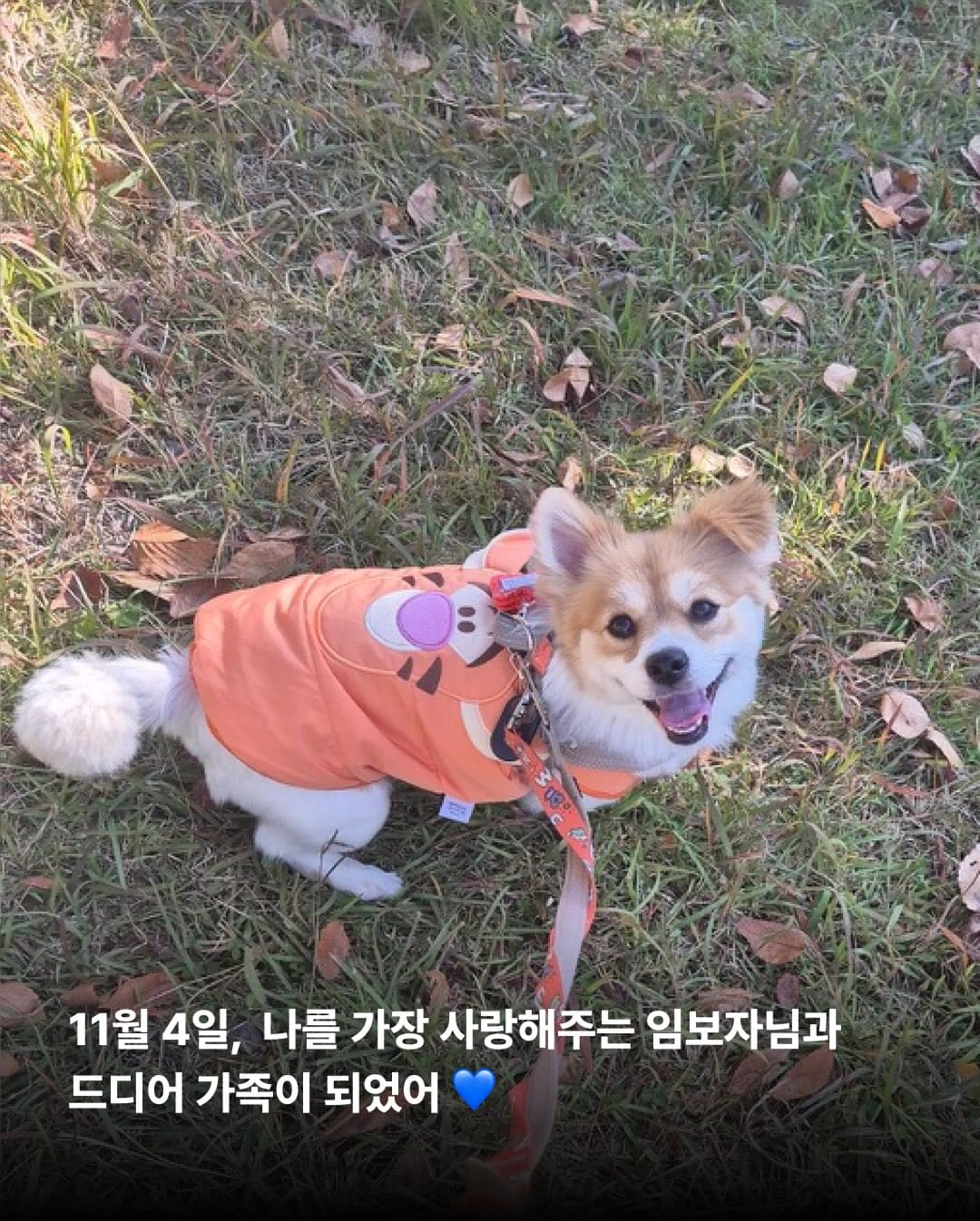 상세 사진 7